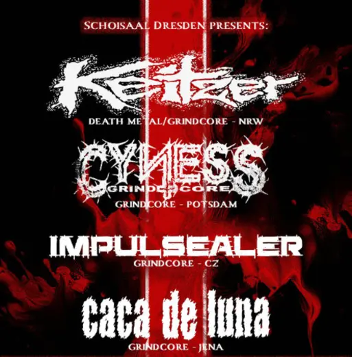 Flyer KEITZER + CYNESS + IMPULSEALER + CACA DE LUNA