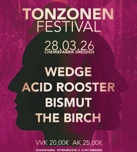 Flyer Tonzonen Festival